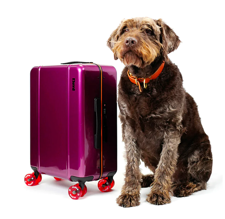 Cabin Koffer Magic Purple - Floyd 