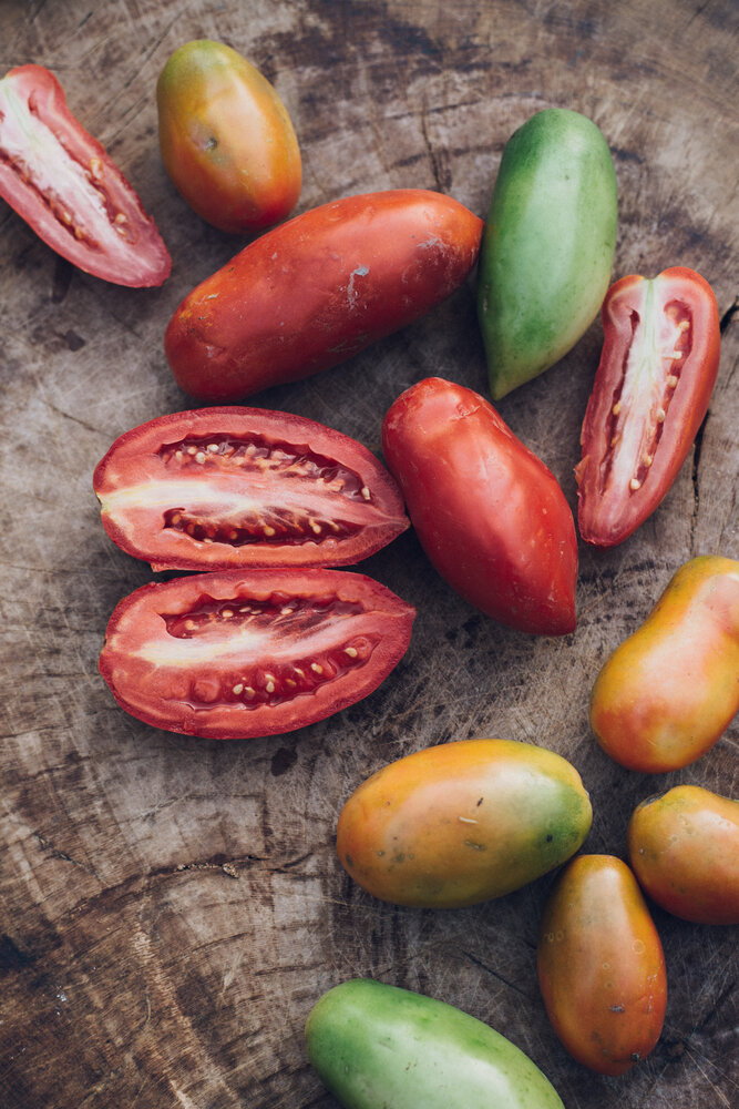 San Marzano Tomaten ,Vintage‘ - Viani 